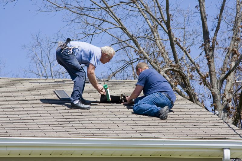 Experienced Roof Repair Specialist