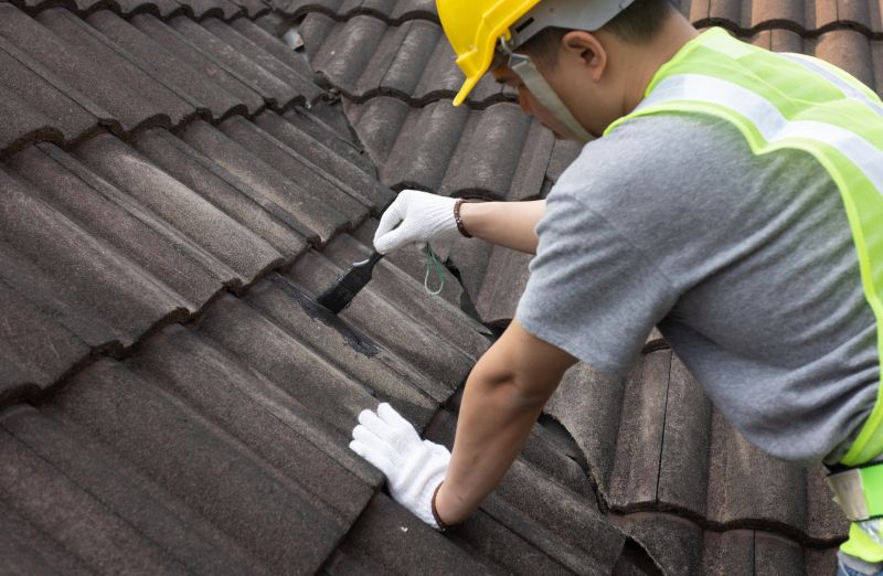 Expert Roofing Advice